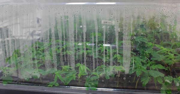 Humidity - controlled environment